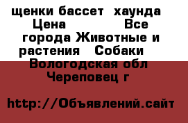 щенки бассет- хаунда › Цена ­ 20 000 - Все города Животные и растения » Собаки   . Вологодская обл.,Череповец г.